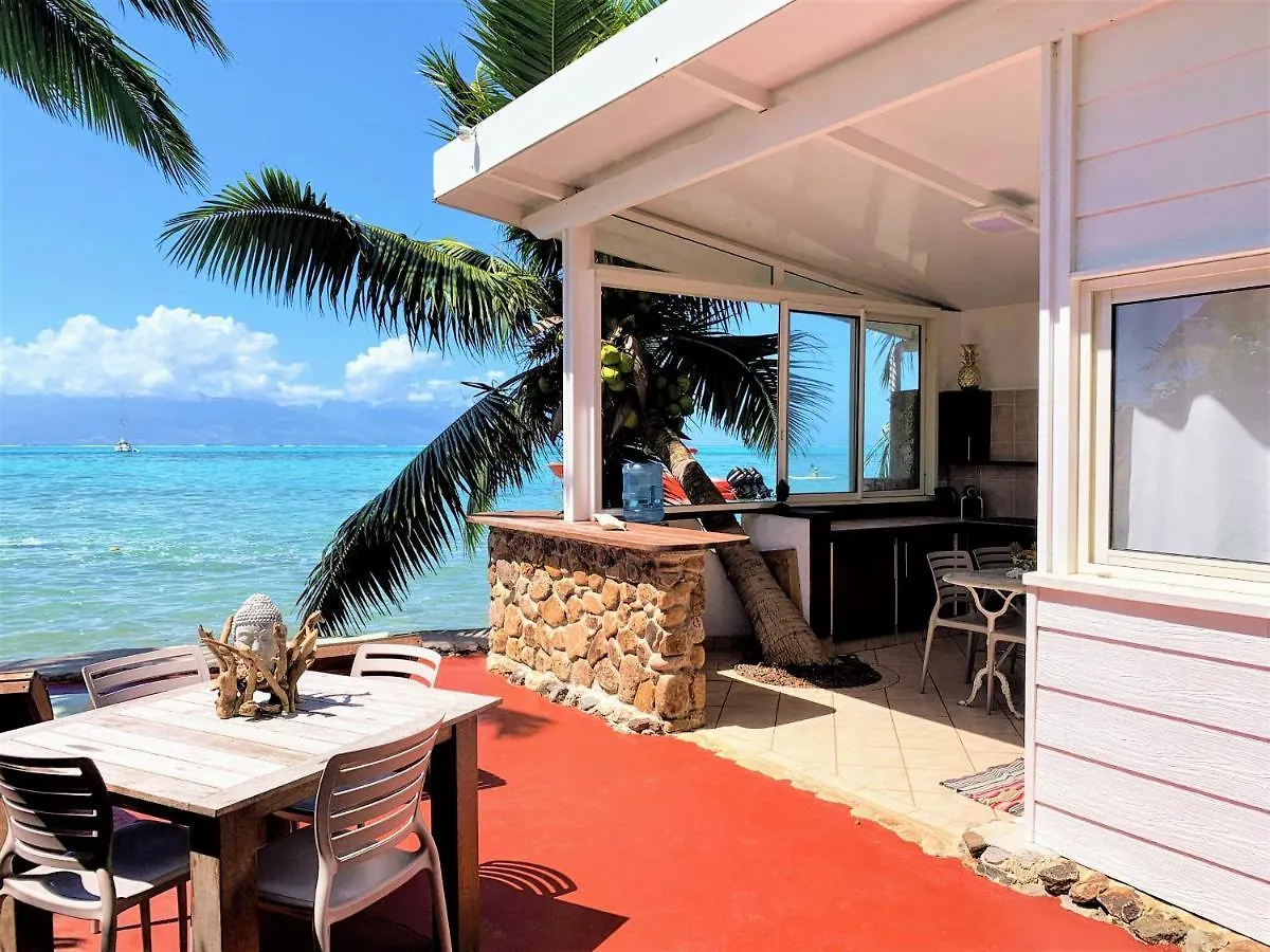 Moorea - Bungalow Chez Papou Afareaitu 別荘