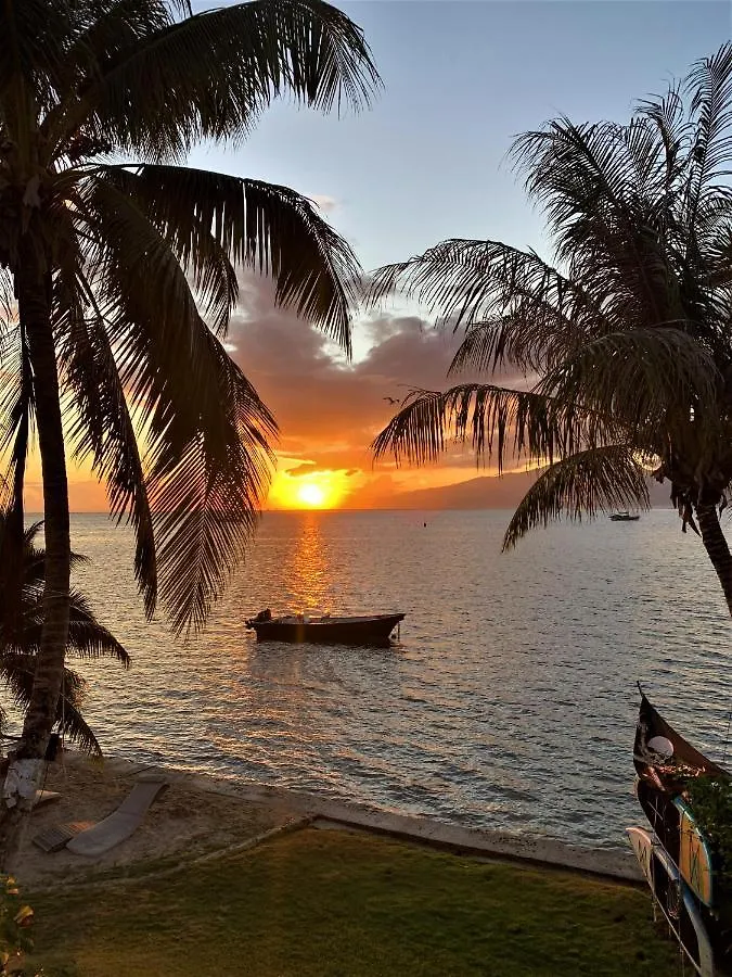 Moorea - Bungalow Chez Papou Afareaitu フランス領ポリネシア